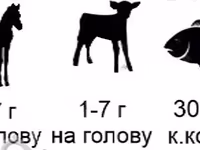 Биорост С — الصورة 2