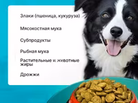Корм для собак эконом класса Вожак 5кг — الصورة 3