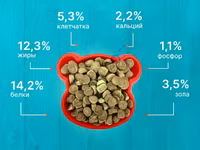 Корм для собак эконом-класса Лай 10кг — الصورة 4