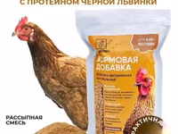Витамины для кур несушек с Черной львинкой — zdjęcie 2