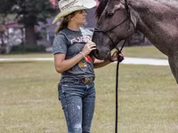 Koń, Quarter Horse — zdjęcie 5