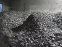 Жмых подсолнечный — foto 2
