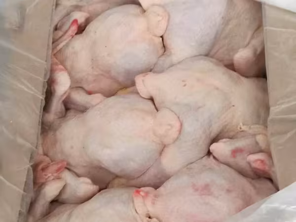 Тушку ЦБ  и разделку охл под заказ