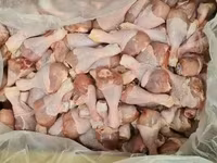 Голень цыпленка бройлера сухой заморозки — zdjęcie 2