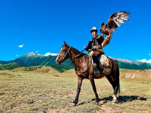 Kyrgyz Horse