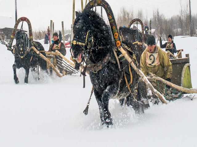 Mezen horse