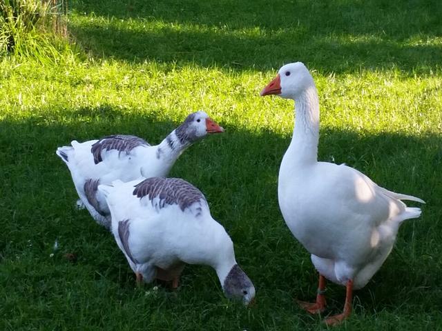 West of England